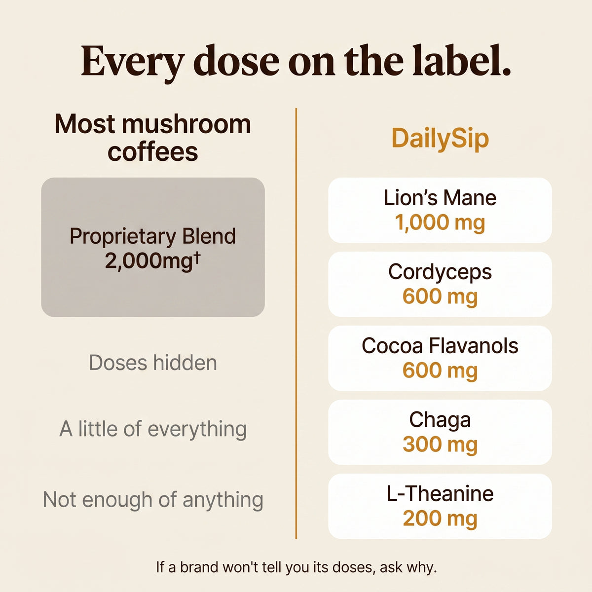 DAILYSIP MUSHROOM COFFEE