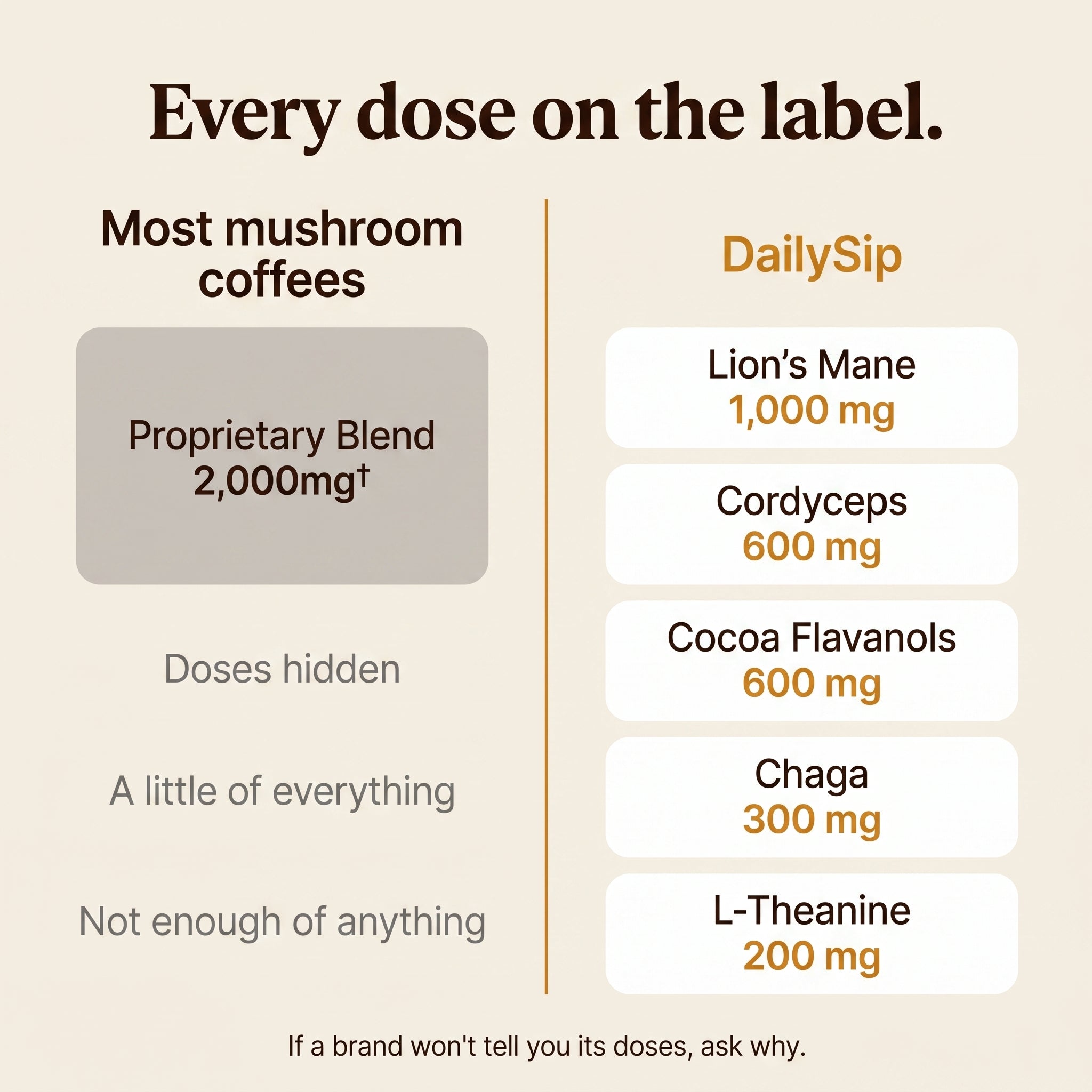 DAILYSIP MUSHROOM COFFEE